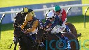 Fair Angellica has Goodwood’s Oak Tree Stakes on her agenda