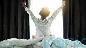 Night owls have superior brain function – study