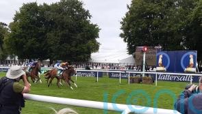 Arabian Dusk gets off the mark in Duchess of Cambridge