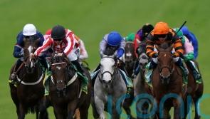 Astro King up for the Cup again and out to extend good York record