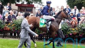 Involvement relishes step up in trip with Newmarket triumph