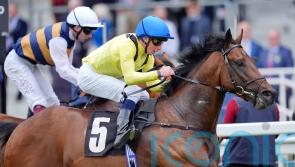 Quddwah shows his quality to secure Summer Mile success