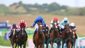 Desert Flower blooms with impressive Newmarket debut