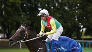Mill Stream edges out Swingalong to grab July Cup glory