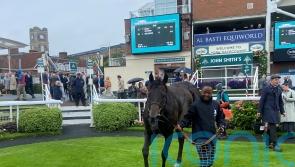 Starlust comes home strongly to land City Walls win