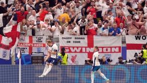 Euro 2024 adverts trigger surge in interest for Chinese electric cars