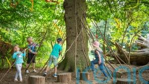 Family-friendly gardens to visit during the school holidays