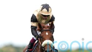 Botti charting direct Irish Leger route with Giavellotto