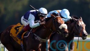 Bethell harbouring Hackwood hopes for Regional