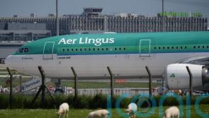 Aer Lingus returns to full service as pilots suspend work-to-rule