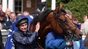York thrilled at prospect of City Of Troy clash with Japanese ace