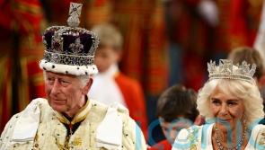 King opens Parliament supported by bandage-free birthday Queen
