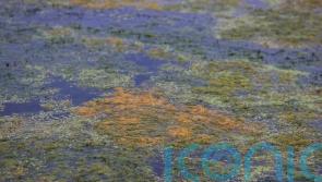 Stormont ministers agree action plan to tackle Lough Neagh issues