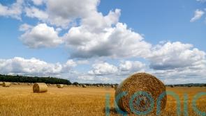 ‘Lost’ five years make farming’s net zero ambition difficult to hit, NFU warns