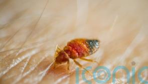 Housewife spared jail after bedbug poison kills girl who lived next door