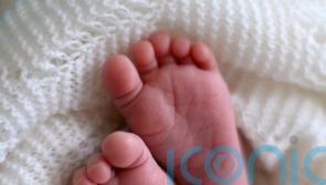 New MP reveals his wife had twins in first week of the General Election campaign