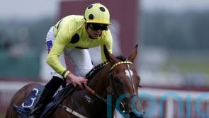 Elite Status too good for Hackwood field