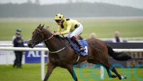 Poet Master leads the way for Burke in Minstrel Stakes