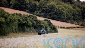 Nature recovery projects to receive £150m National Lottery funding