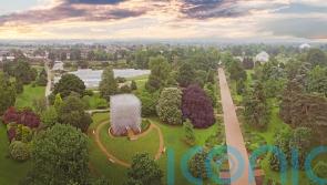 Half of Kew Gardens’ trees may be at risk by 2090 as climate warms – study
