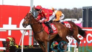 Nicol believes Wise Eagle will be ready to soar in Ebor