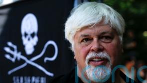 Anti-whaling campaigner Paul Watson arrested in Greenland