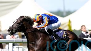 All systems go for Auguste Rodin in the King George