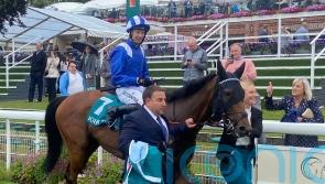 Goodwood next on the agenda for rejuvenated Enfjaar