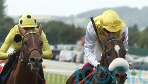 Irish Derby runner-up Sunway primed for King George challenge