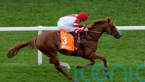 King’s Gambit ‘all set’ for the Knavesmire, with Callum Shepherd booked