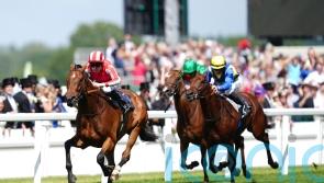 ‘He’s ready to go’ – Goliath taking on King George giants