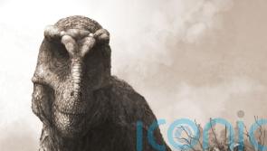 T. rex may have been much heavier and longer than previously thought – study