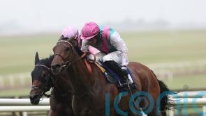 Bluestocking connections keen for ease in the ground ahead of King George bid