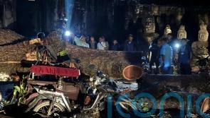 One dead and statues damaged after tree falls at Angkor temple complex in storm