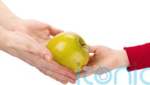 Impact of two-child benefit cap evident in food insecurity survey, says charity