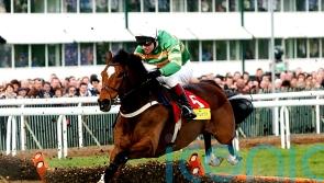 Hurdling great Istabraq dies aged 32
