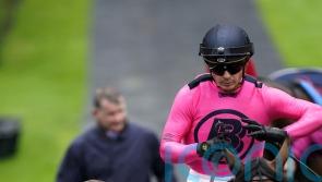 Jerome Reynier priming Facteur Cheval for Goodwood return