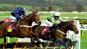‘Horse of a lifetime’ Istabraq dies aged 32