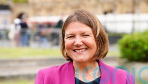 Green MP calls for electronic voting system in Parliament