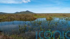Remote peatland granted world heritage status