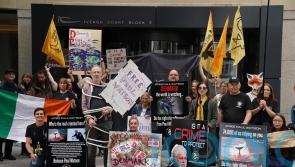 Protest at Danish embassy in Dublin calling for anti-whaling activist’s release