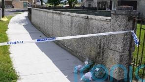 Man dies following assault in south Dublin