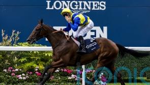 Giant performance from Goliath in King George