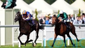 Zarakem has sights set on York before Prix de l’Arc de Triomphe bid