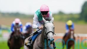Promising Field Of Gold set for rise in class