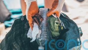 Plastic bag litter falls by 80% on beaches over a decade, seaside clean-ups show