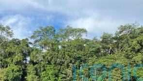 Sustainable development must work or world faces ‘massive tragedy’, expert says