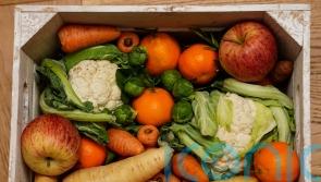 Vegan diet could be linked to reduction in biological age, study suggests