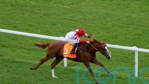 King’s Gambit in line for possible York return following narrow reverse