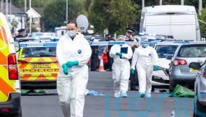 Two children dead and six critical following ‘horror movie’ stabbings